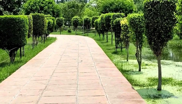 Sd Sales Corporation -  Photos - Kaithal
