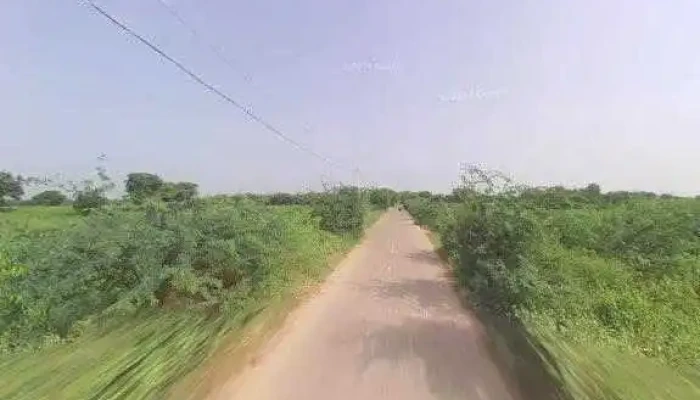 Shama Photostate -  All - Punhana