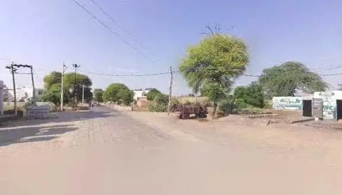 Shingari Enterprises -  Street View 360deg - Ellenabad