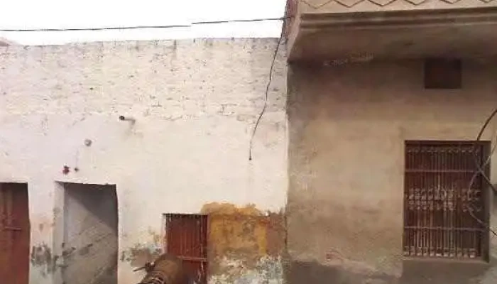 Shiva G Tech -  Street View 360deg - Hisar