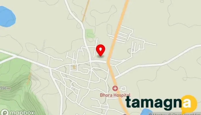 map of Shree Online Center Computer store in near Bus stand