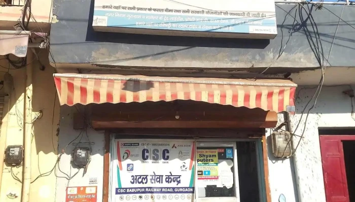 Shree Sheetla Enterprises -  All - Gurugram