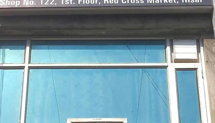 The Indian Trading Company -  By Owner - Hisar