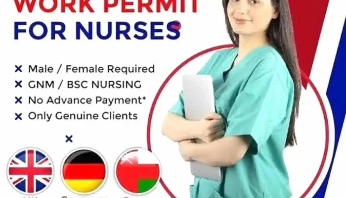 Unique Group Of Institution -  Best Ieltsptecomputer Institutevisa Consultantgovtupscbanking Coaching In Mandi Dabwali By Owner - Mandi Dabwali