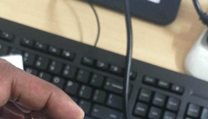 World It Technology Sohna Computer Store - Sohna