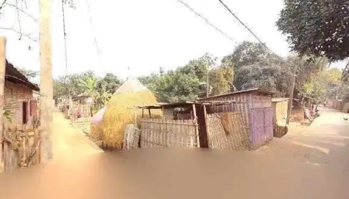 Ziaul House -  All - Mankachar