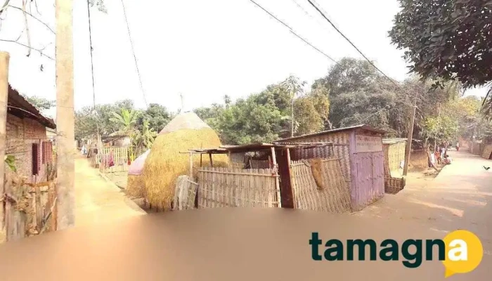 Ziaul House - Mankachar