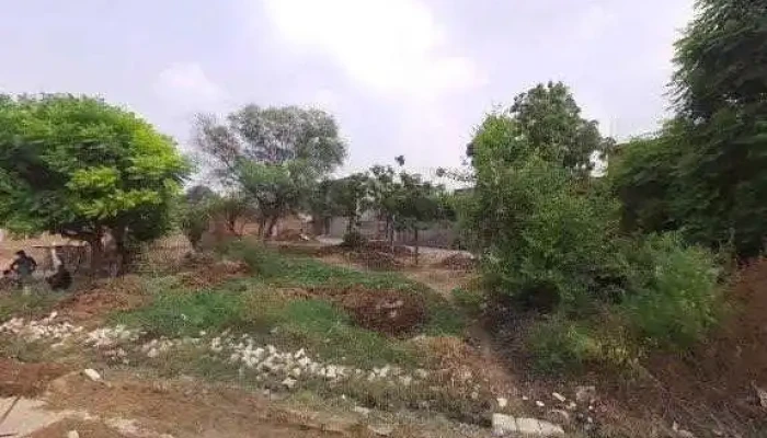Zimidara Electronics -  Street View 360deg - Damkora, Tohana