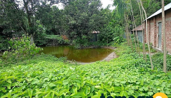 চৌমহনী বাজার, রুবেল টেলিকম - Char Rajibpur